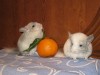 04.02.2011. с братишкой.