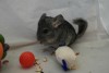 02.09.2017