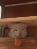 Первый день на новом месте.