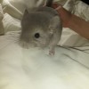 Матвей