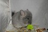 14.10.2017