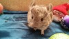 17.12.17
