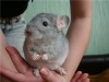 5 месяцев
