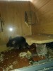 09.03.2018г. Шанечка с сыном Джони
