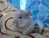5мес