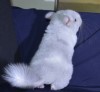 1мес. 2дня