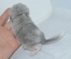 Несколько часов отроду)