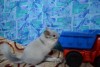 оосваиваем транспортное средство))