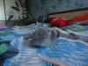 26 декабря 2017