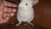  Лог