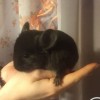 Каспер 