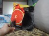 9 мес