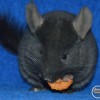 Кубик