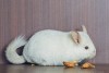 2 мес