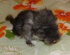 2 часа от рождения