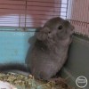 Ацтек