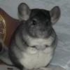 Норхен