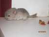 8 дней