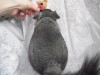 2 мес
