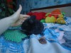 5 мес