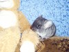 1 месяц