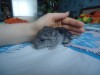 1 день