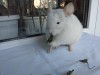 6 месяцев