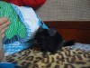 2 мес