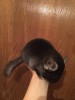 5 мес