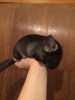 5 мес