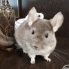фенечка