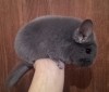 6 мес 