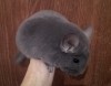 6 мес 