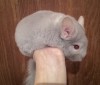 6 мес 