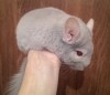 6 мес 