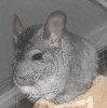 18.11.2024