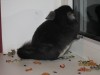 3 мес
