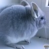 Оливия