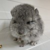 Назарио