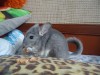 4 мес