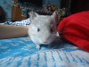 3 мес