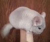 4 мес 
