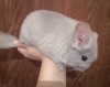 4 мес 