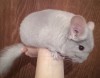 4 мес 