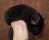 4 мес 