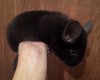 4 мес 