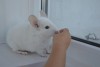 5 мес