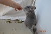 2 мес