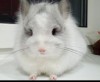Блондинчик