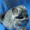 Луна